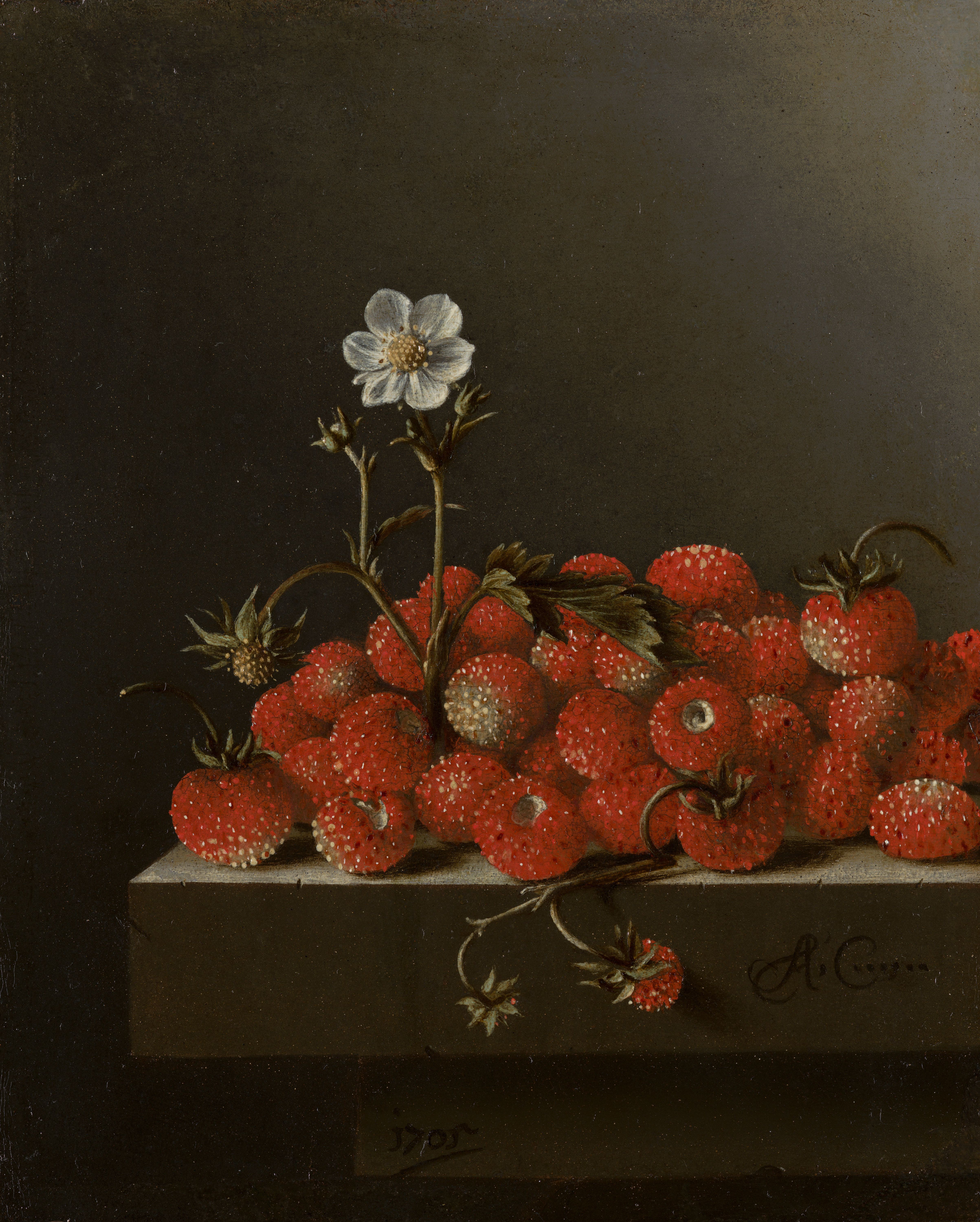 Still life wild strawberries
