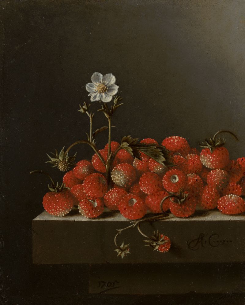 Adriaen_Coorte_-_Still_Life_with_Wild_Strawberries_-_1106_-_Mauritshuis