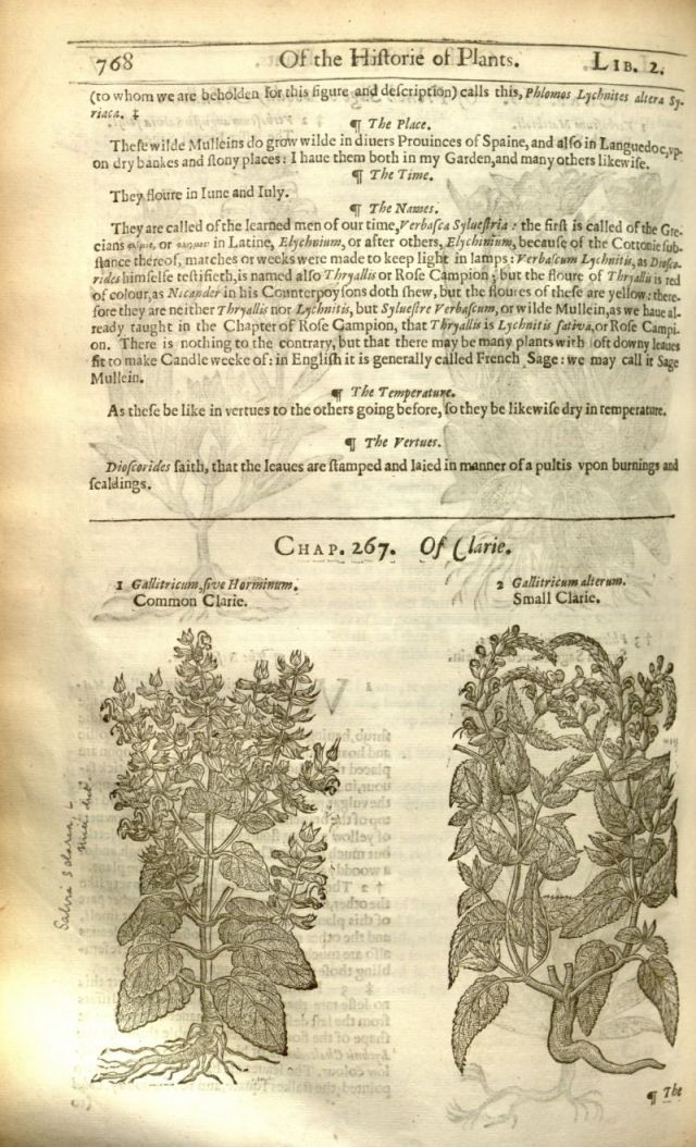 Generall historie of plants